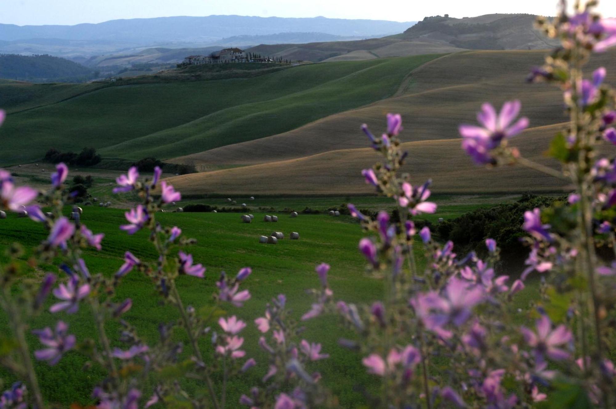 Agrihotel Il Palagetto โวลแตร์รา ภายนอก รูปภาพ